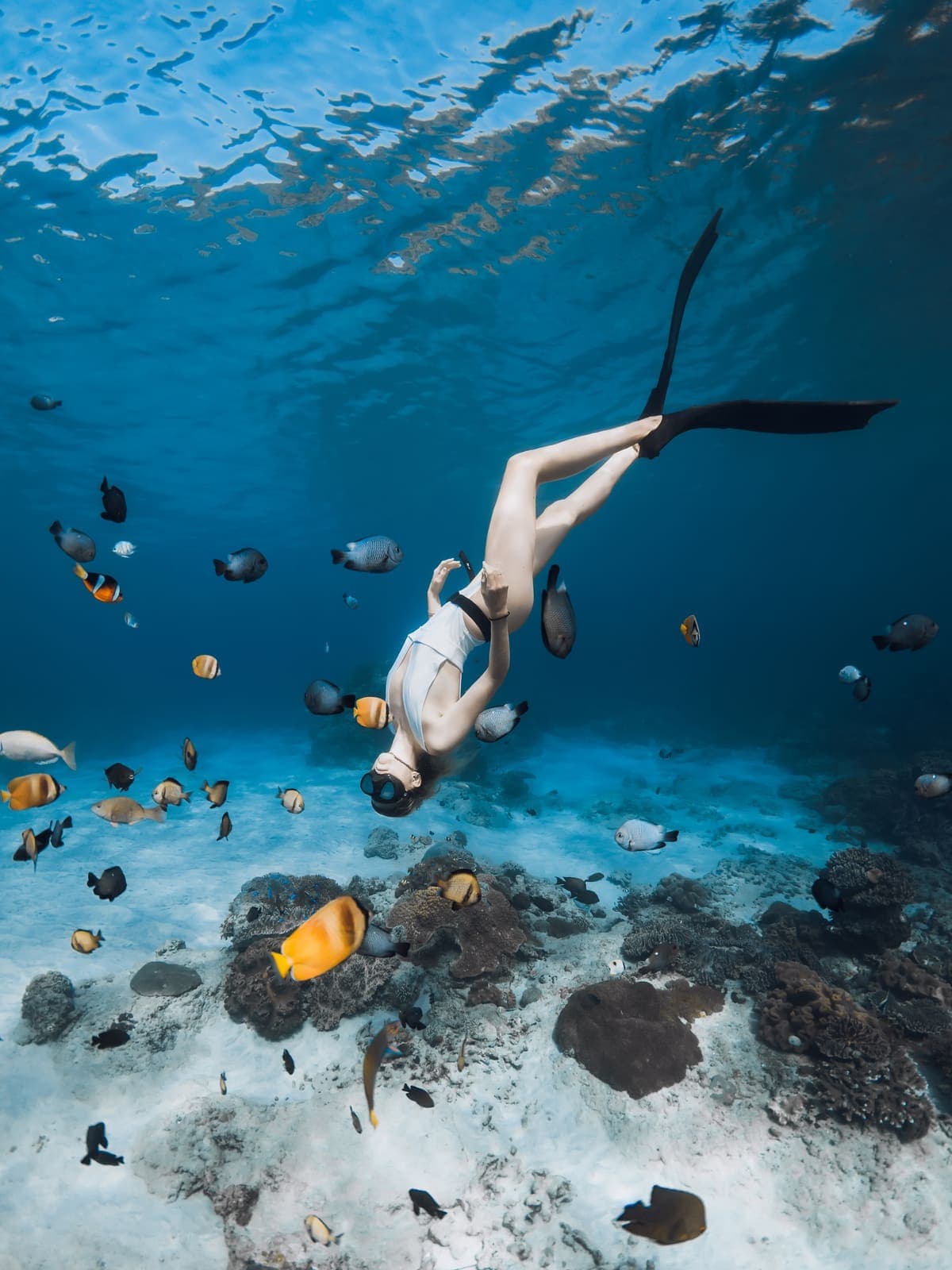 Freediver gliding over a coral reef